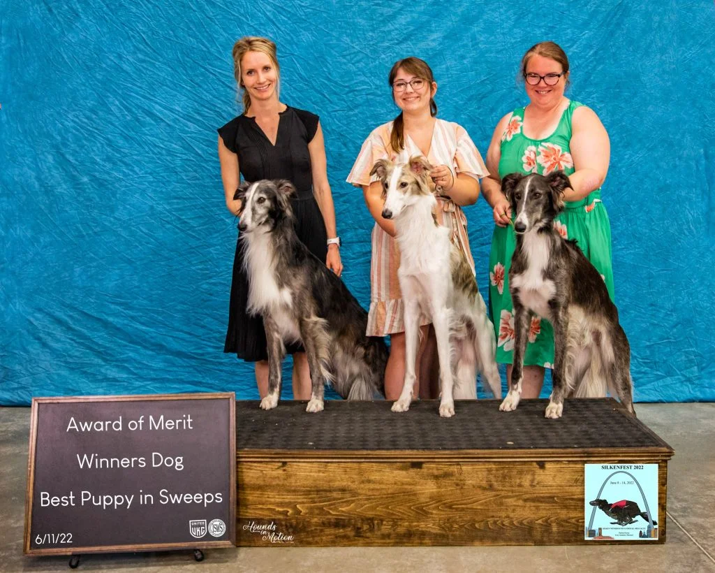 Best Puppy in Sweepstakes CSB Agent Rocket Belt