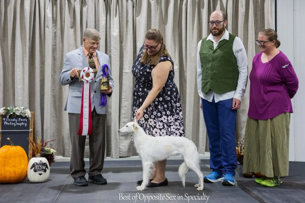 WB for CSB Multiverse Traveler@Spirit